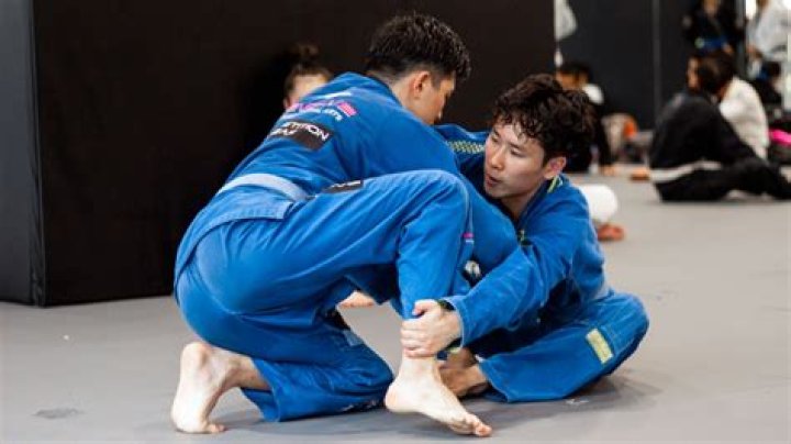 Is BJJ just grappling?