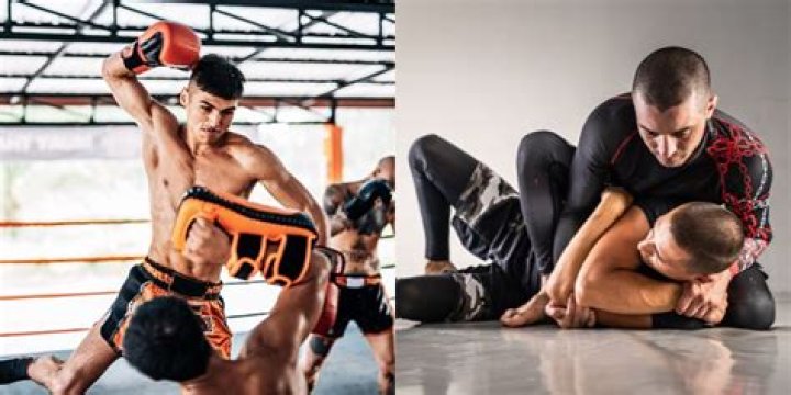 Is BJJ or Muay Thai better for self-defense?