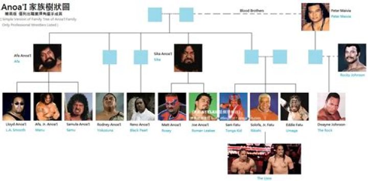 Is Haku related to the ANOA I family?