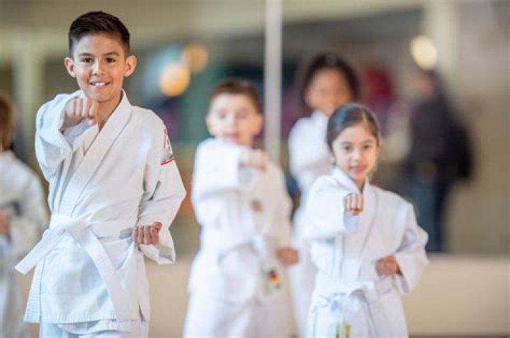 Is Karate good for autistic child?