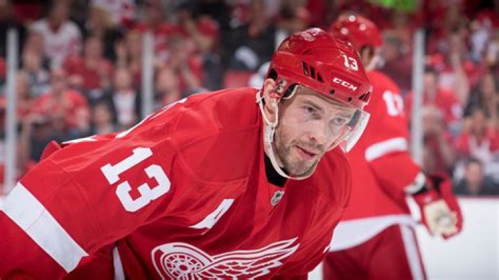 Is Pavel Datsyuk still playing?