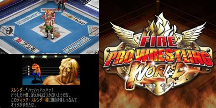 Is pro wrestling the hardest sport?