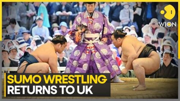 Is sumo wrestling still popular?