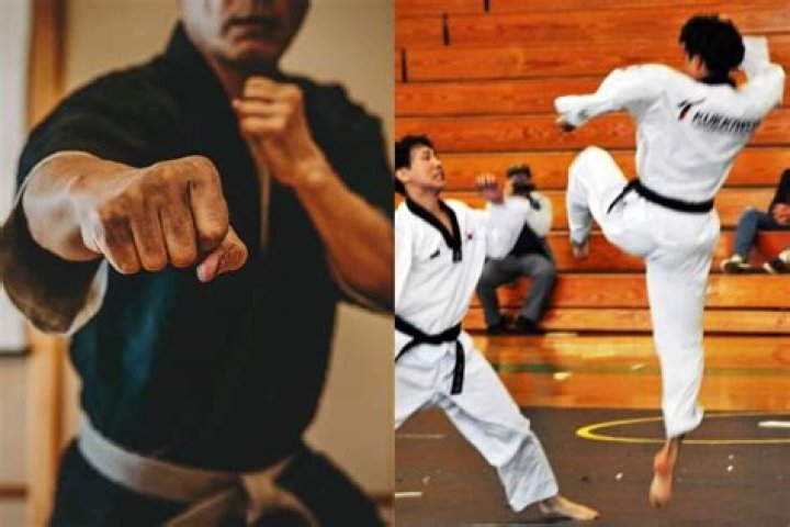 Is Taekwondo different from karate?