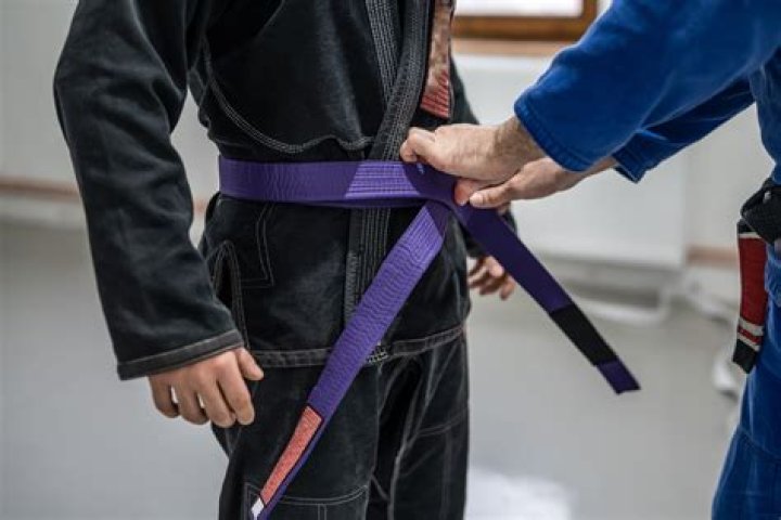 Is there a purple belt in Krav Maga?
