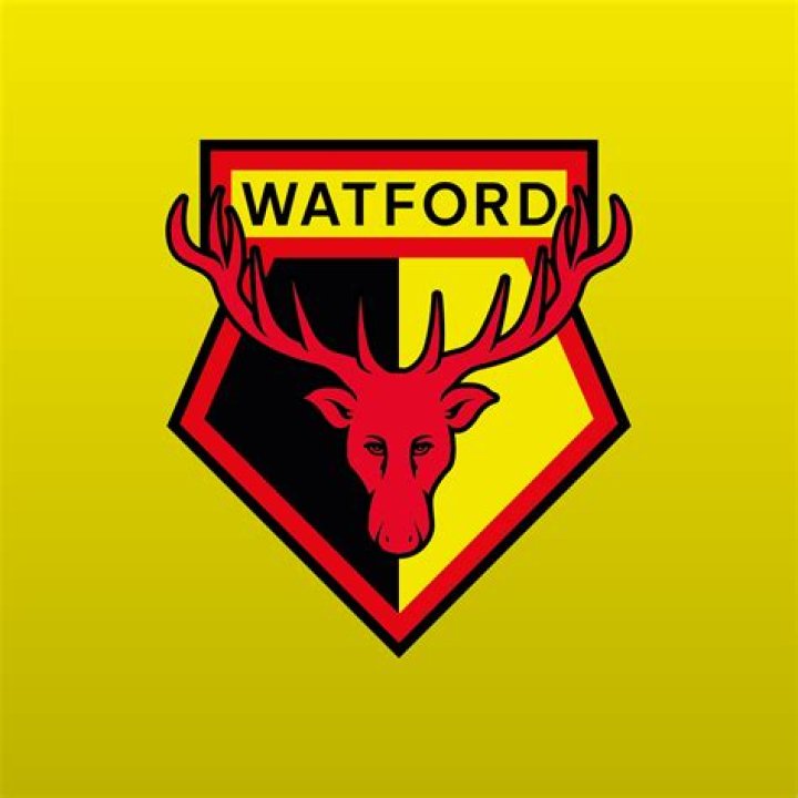 Is Watford a big club?