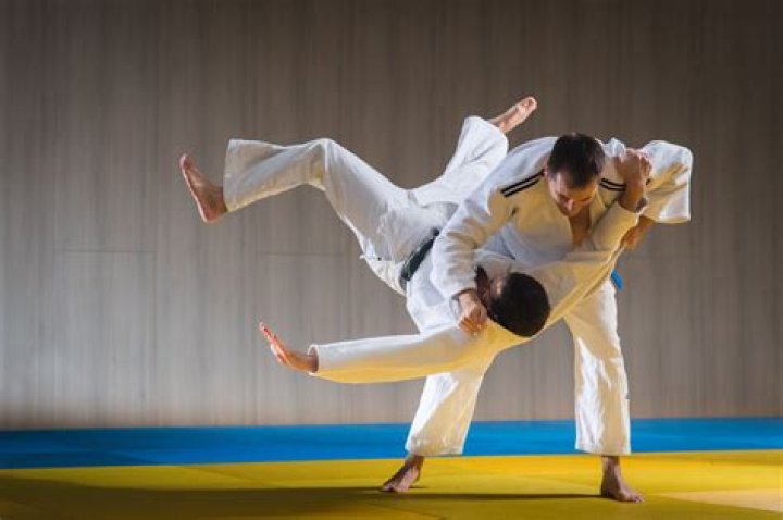 Should I learn Judo?
