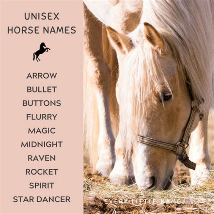 What's a good horse name?