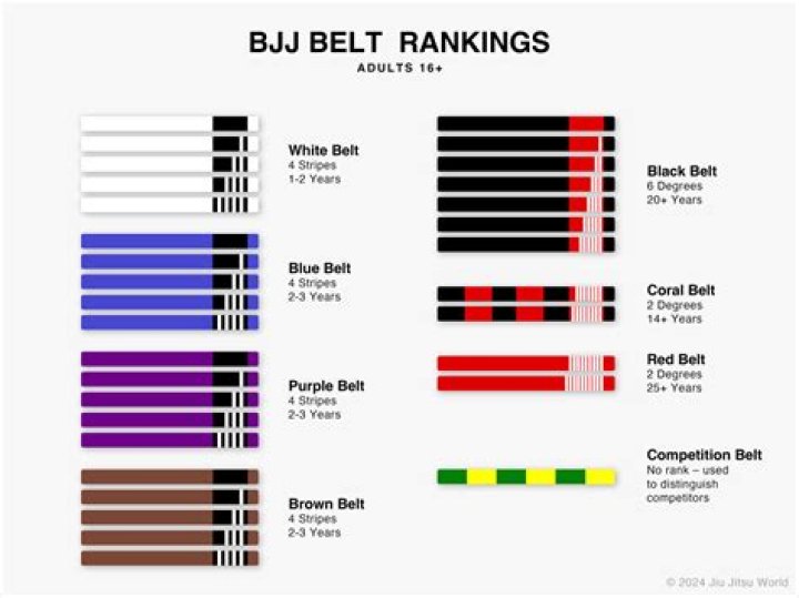 What's the highest belt in Jiu Jitsu?