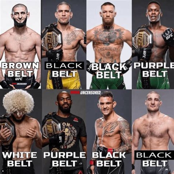 What 2 UFC fighters have fought the most?