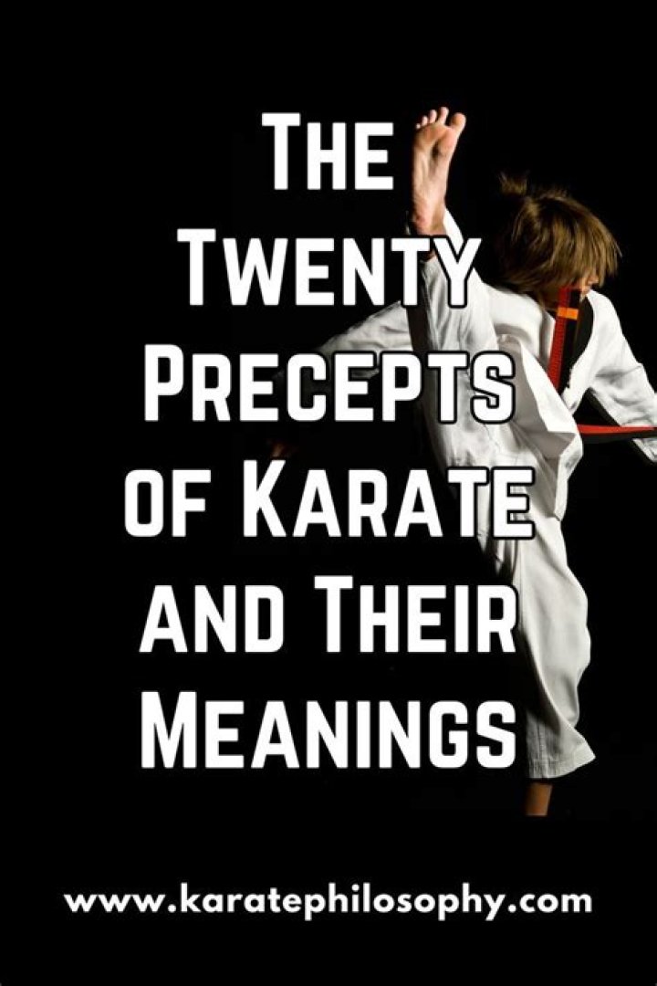 What are the 20 precepts of karate?