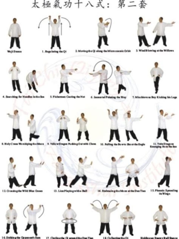 What are the 24 tai chi movements?