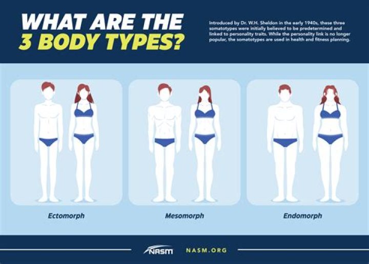 What are the 3 female body types?