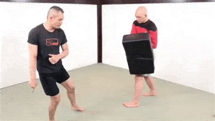 What are the 4 basic kicks for kickboxing?