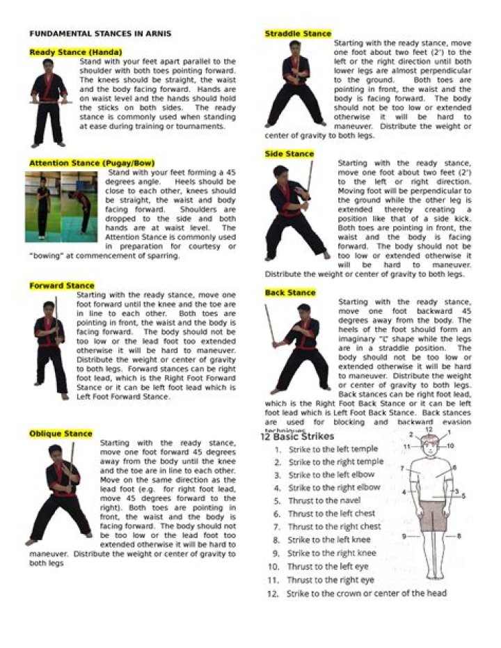 What are the 8 types of basic stance?