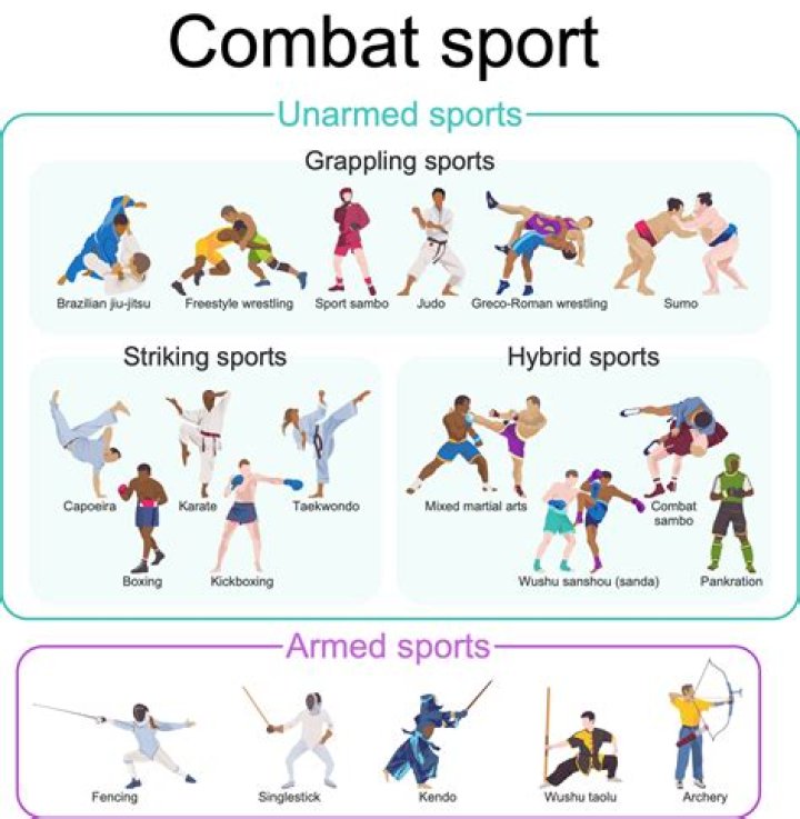 What are the different combative sport?