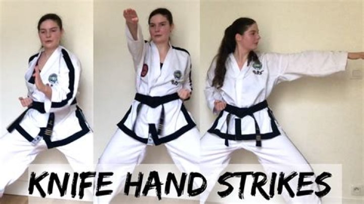 What are the hand strikes in Taekwondo?