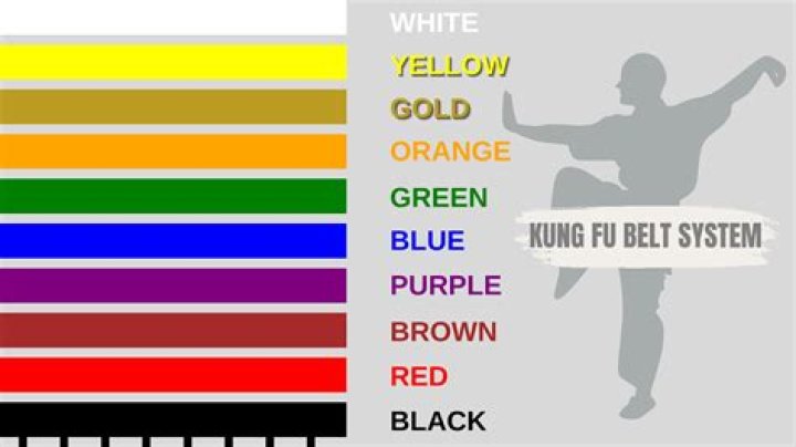 What are the levels of Kung Fu?