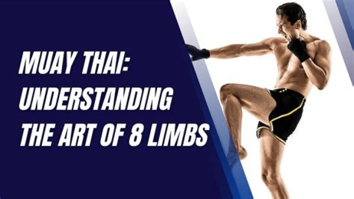 What are the Muay Thai 8 limbs?