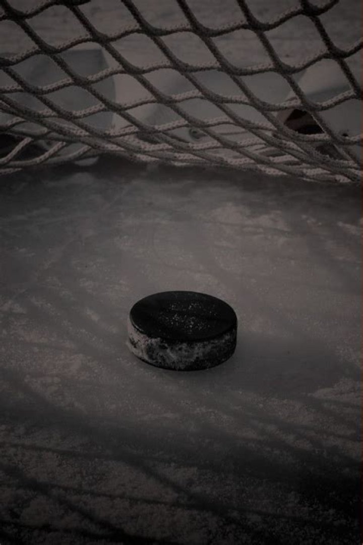 What are the white boxes in hockey nets?