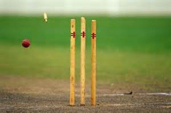 What are wickets and stumps?