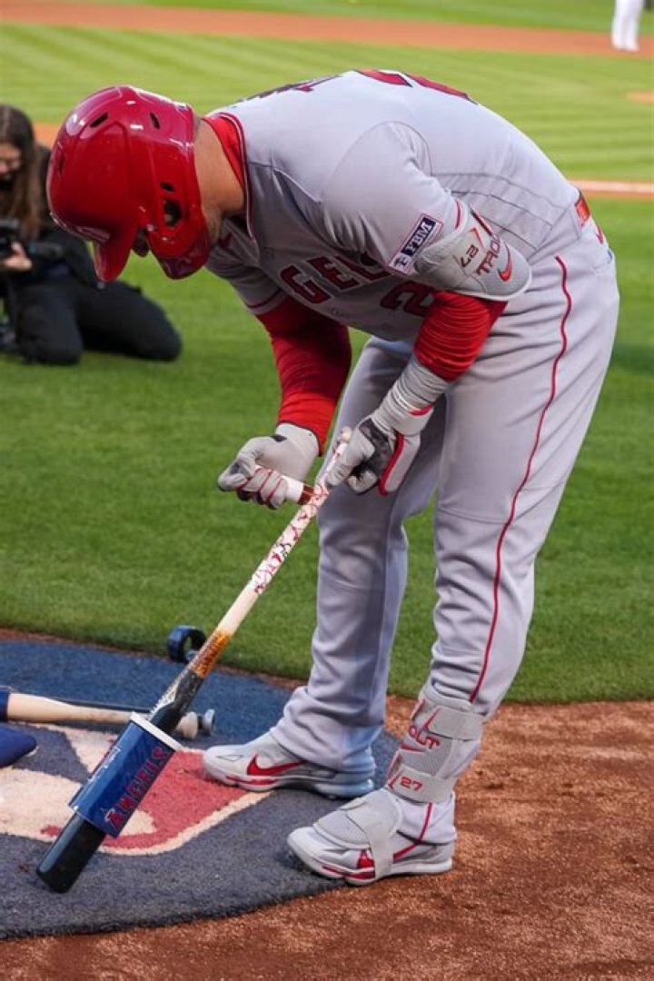 What bat does Mike Trout swing?