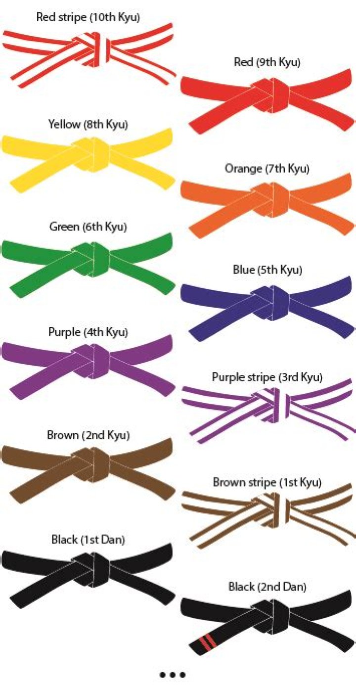 What belts are in karate?