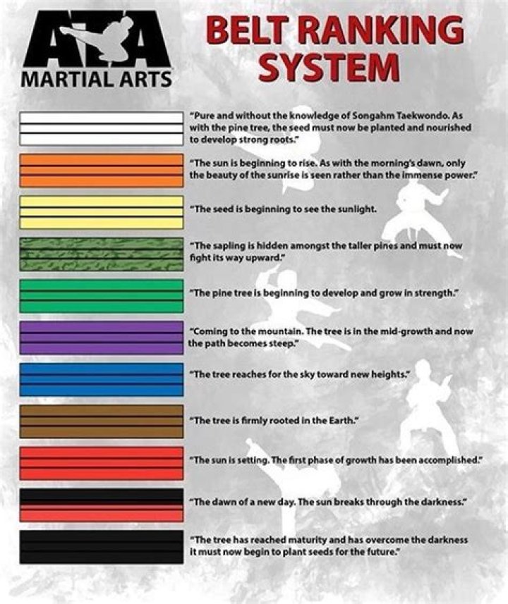 What black belt means to me?