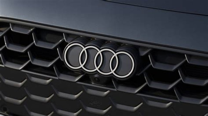 What do the rings represent?