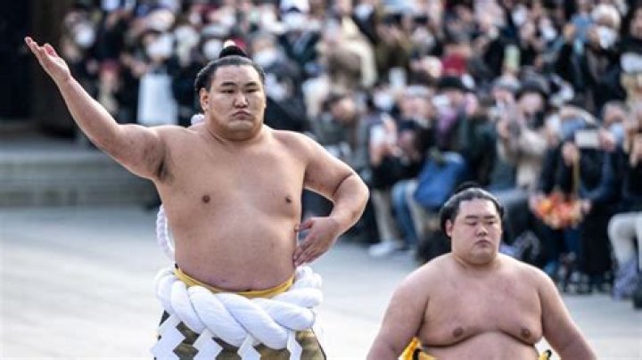 What does a sumo wrestler eat in one day?