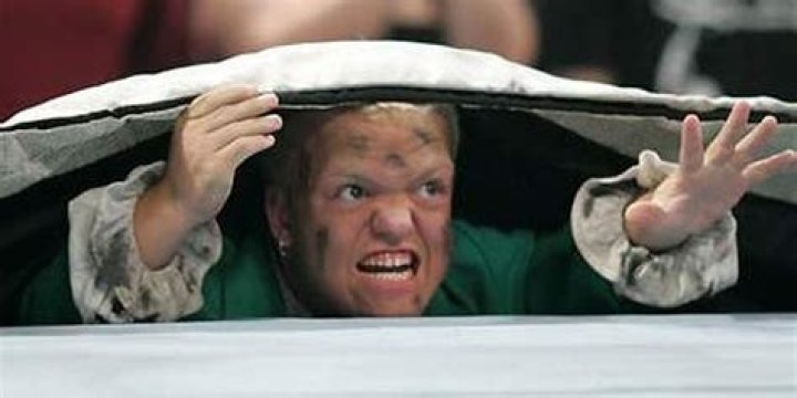 What does Hornswoggle do under the ring?