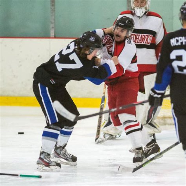 What does Michigan mean in hockey?