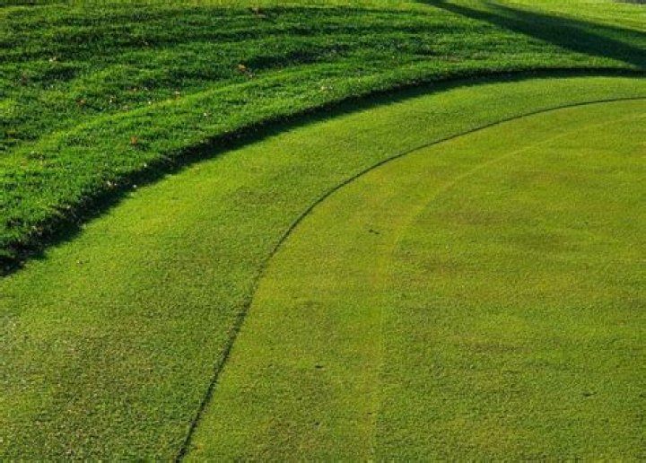 What does preferred lies through the green mean?