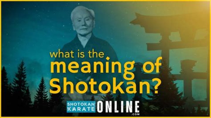 What does Shotokan mean in Japanese?