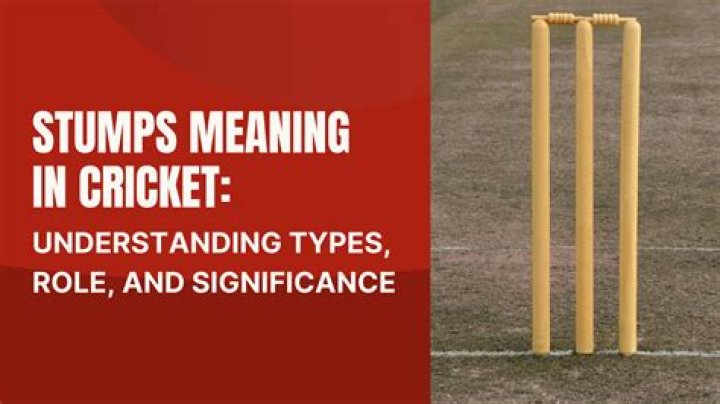 What does stumps mean in cricket?