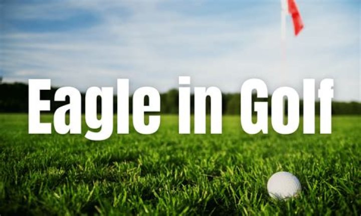 What does the term eagle mean in golf?