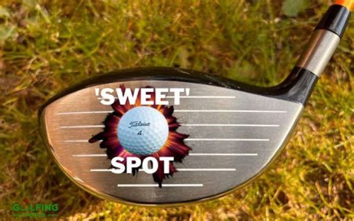 What driver has the biggest sweet spot?