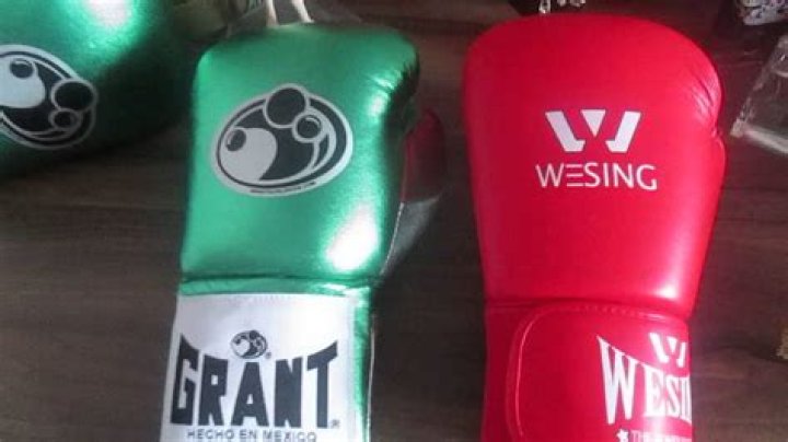 What gloves does Canelo use?