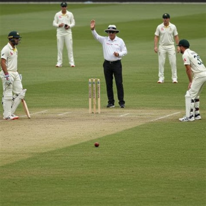 What is a dead ball in cricket?