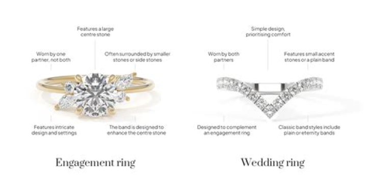 What is a fighting ring called?