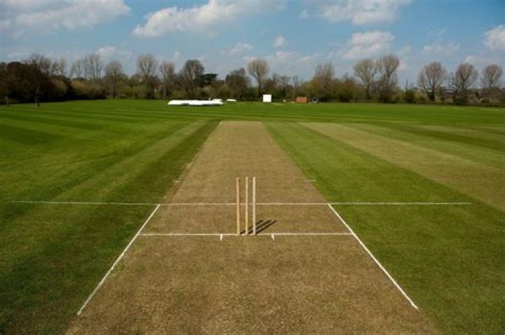 What is a green wicket?