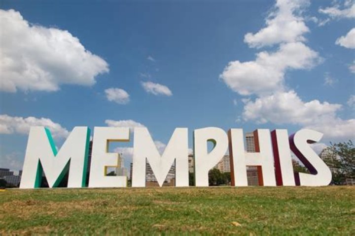 What is a Memphis Tam?