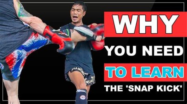 What is a snap kick?