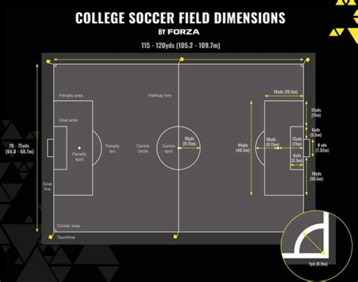 What is a soccer field called *?