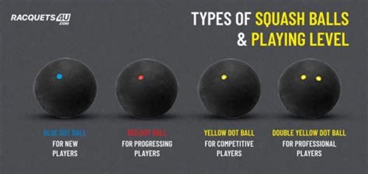 What is a squash ball called?