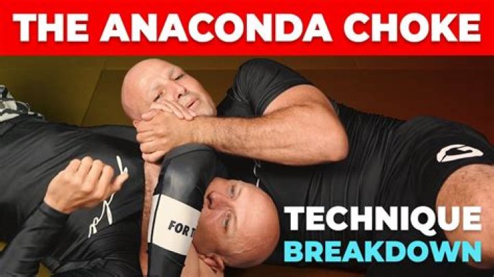 What is an anaconda choke hold?