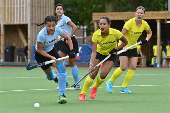 What is GF G in hockey?