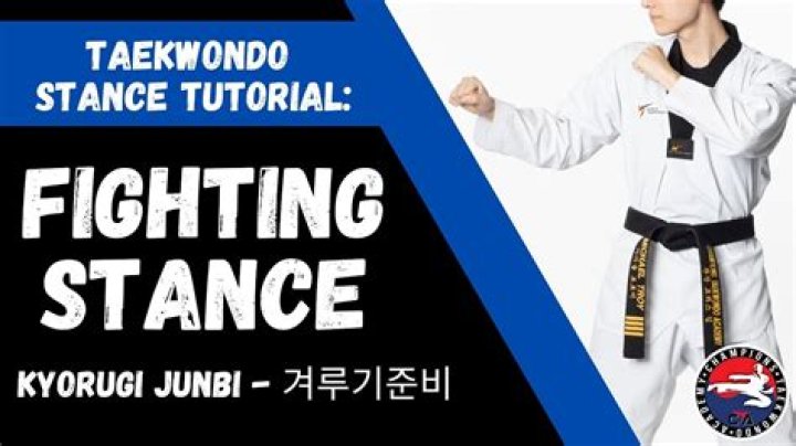 What is renewal taekwondo?