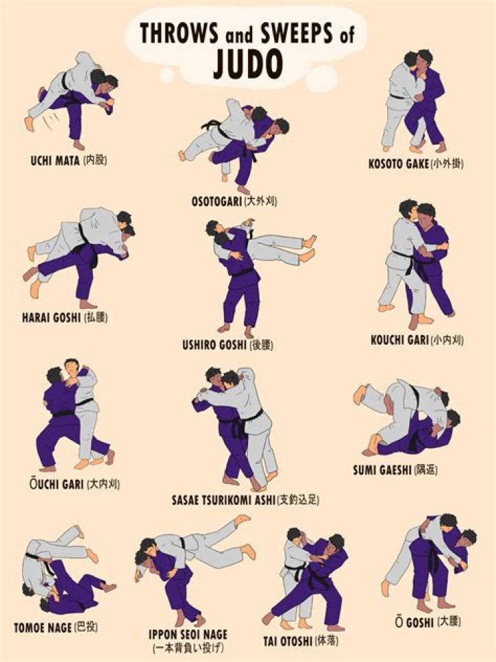 What is similar to Jiu-Jitsu?