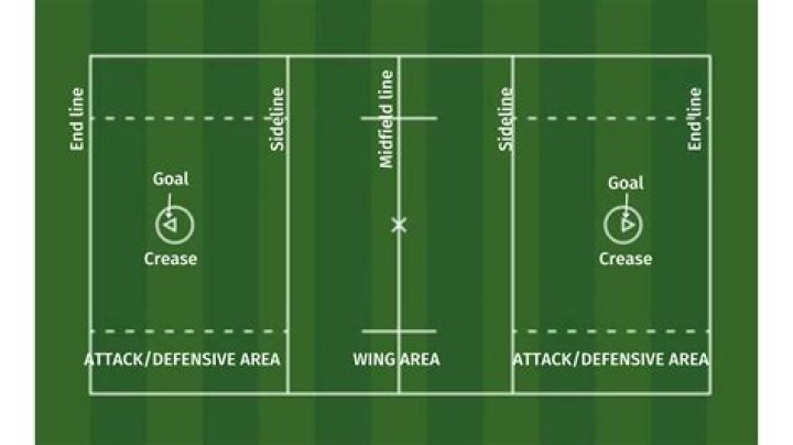 What is the ball in lacrosse called?